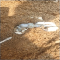 누수 PC 갤러리 11